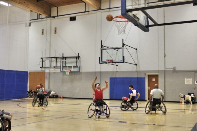 Adult wheelchair basketball game on an indoor court.